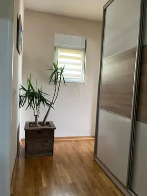 a room with a mirror and a potted plant at Delux apartman in Leskovac