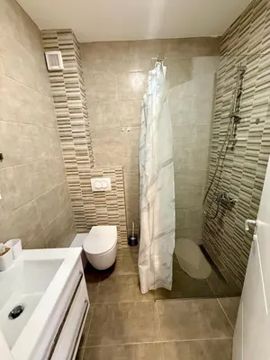 a bathroom with a shower and a toilet and a sink at Luxe Apartman Sokobanja in Soko Banja