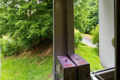 a window with a view of a field of trees at Sobe Lucky in Ribarska Banja
