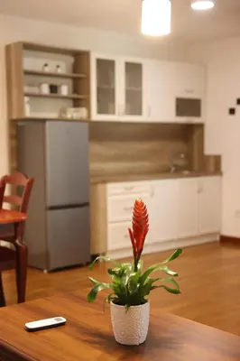 Gallery image of Ego apartmanii in Ćuprija