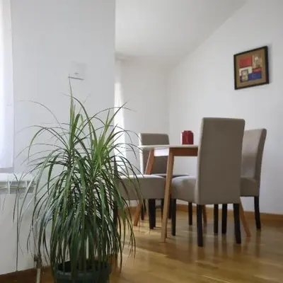 Ego apartmanii