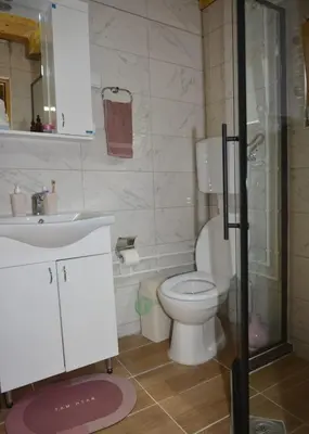 a bathroom with a toilet and a sink and a shower at Deda Misina Koliba in Ćuštica