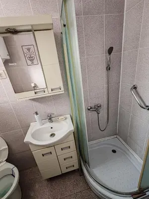 a bathroom with a shower and a sink and a toilet at Happy house in Kruševac