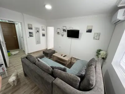 a living room with a couch and a dog at Apartman LOKI in Soko Banja