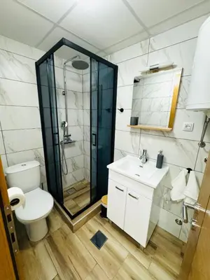 a bathroom with a shower and a toilet and a sink at Villa Nina in Vrnjci
