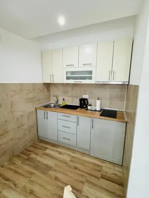 a kitchen with white cabinets and a sink at Villa Nina in Vrnjci