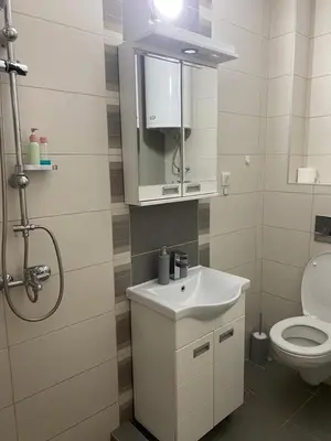 a bathroom with a sink and a toilet at Niki Apartman in Kruševac