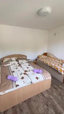 two beds in a room with purple pillows on them at Krupajska bajka in Krepoljin