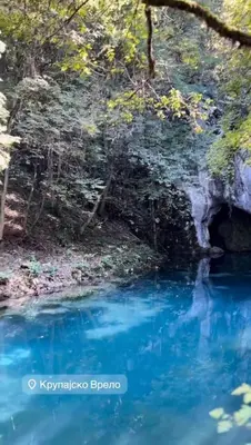 a creek with blue water in a forest at Krupajska bajka in Krepoljin