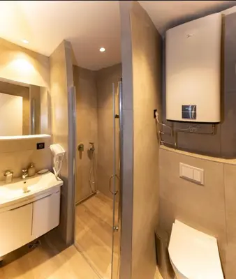 a bathroom with a shower and a toilet and a sink at La familia Kopaonik in Brzeće