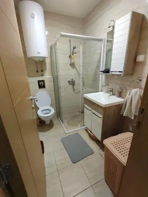 a bathroom with a shower and a toilet and a sink at Sunrise apartment Sokobanja in Soko Banja
