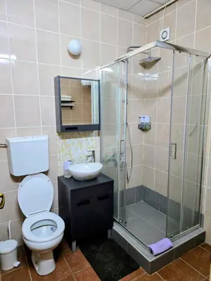 a bathroom with a shower and a toilet and a sink at Red Diamond in Niš