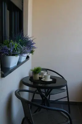 a small black table with two cups and plants on it at Aria Apartman Sokobanja in Soko Banja