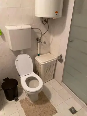 a small bathroom with a toilet and a shower at Kopaonik- Vila Ivana in Kopaonik