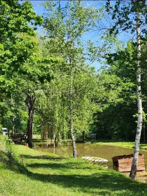 a park with trees and a body of water at Ognjište in Prokuplje