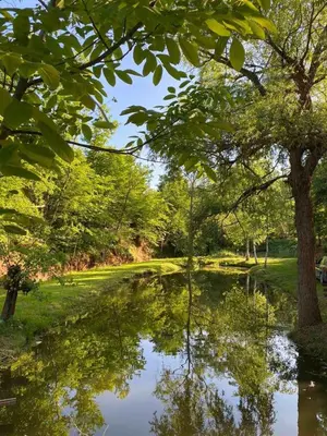 a pond in the middle of a park with trees at Ognjište in Prokuplje