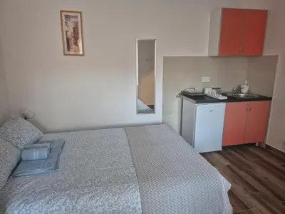 a bedroom with a bed and a small kitchen at Vila RUŽA - House of Roses in Soko Banja
