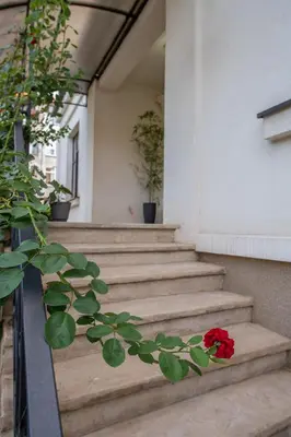 a red rose sitting on the steps of a building at Family House in Leskovac