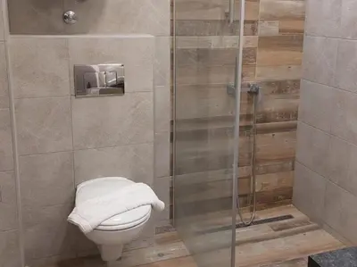 a bathroom with a toilet and a glass shower at Apartman Viva Milmari in Kopaonik
