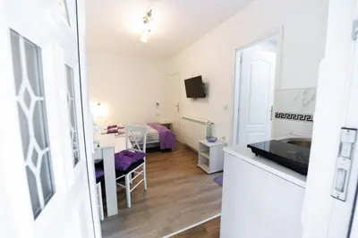 a small room with a kitchen and a living room at Vila Jevtić studio 1 in Soko Banja