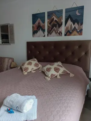 a bed with two pillows and a blanket on it at Milmari resort N12 in Kopaonik