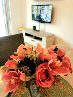 a vase filled with red flowers on a table at Trajkovic One Bedroom Apartment in Soko Banja