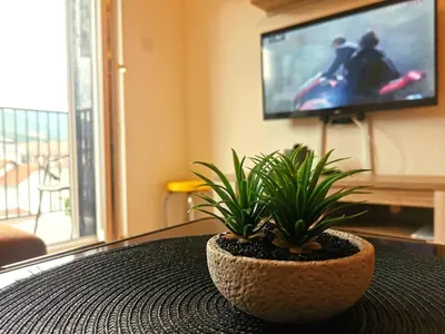 a table with two potted plants on top of it at Trajkovic One Bedroom Apartment in Soko Banja