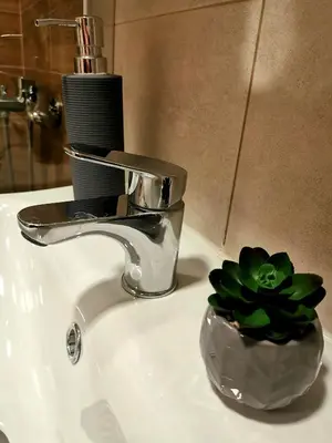 a bathroom sink with a faucet and a plant on it at Trajkovic One Bedroom Apartment in Soko Banja