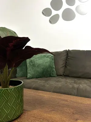 a living room with a couch and a plant on a table at Millie's apartments in Ćuprija