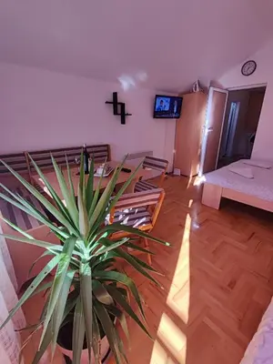 a room with a plant in the middle of a room at Latinski apartman in Soko Banja