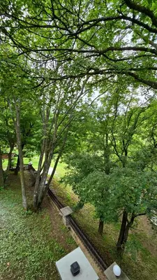 a view of a park with trees and a bench at Vila Dolina Mira in Zabrega
