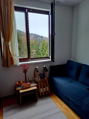 a living room with a blue couch and a window at Kopaonik apartman 11 in Kopaonik