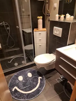 a bathroom with a toilet and a shower with a smile rug at Kopaonik apartman 11 in Kopaonik
