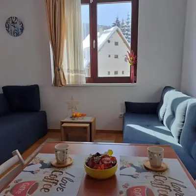 Kopaonik apartman 11