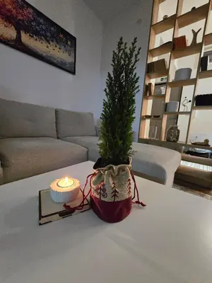 a living room with a christmas tree and a candle on a table at Apartmani Krunet in Kruševac