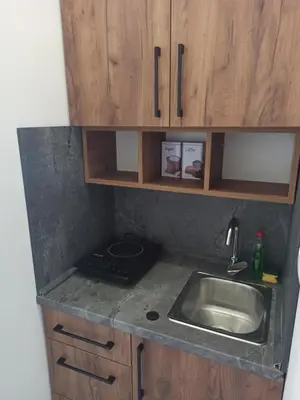 a small kitchen with a sink and wooden cabinets at Apartman Milutinovic in Vranje