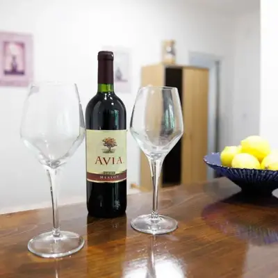 Vila Jevtic studio 4