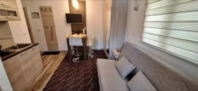 a living room with a couch and a sink at Vila Zvončica, apartman Puzović 21 in Kopaonik