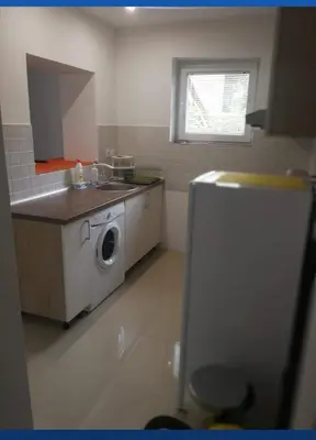 a kitchen with a sink and a washing machine at Apartman Sokobanja in Soko Banja