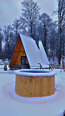a log cabin with a roof on top of it at Gočki Raj in Goč