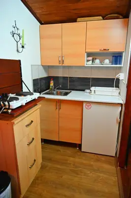 a small kitchen with wooden cabinets and a sink at Gocki raj 2 in Goč