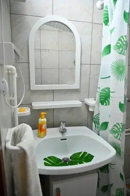 a bathroom with a sink with a mirror and a shower curtain at Gocki raj 2 in Goč