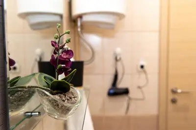 a glass vase with flowers in it on a counter at Art Lux apartman in Kruševac