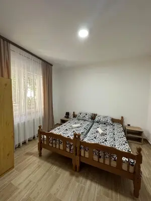 a bedroom with a bed in a room at Apartments Božinović in Soko Banja