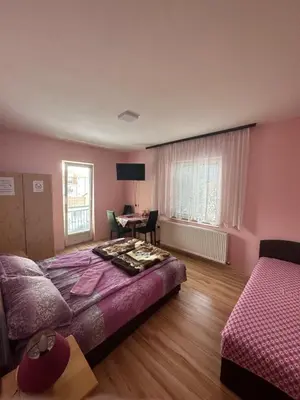 a bedroom with a bed and a desk in it at Apartments Božinović in Soko Banja