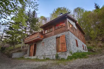 a small house in the middle of a forest at Guesthouse Šejn in Kopaonik