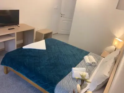 a bedroom with a bed and a desk with a television at Garni hotel Vir in Vrnjačka Banja