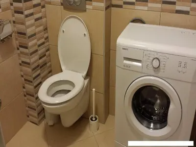 a bathroom with a toilet and a washing machine at Apartments Andrejic in Kopaonik