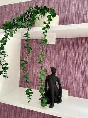 a person sitting on a shelf with a plant at City view & pool apartment 2 in Niš