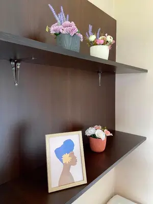 a shelf with three potted plants and a picture at City view & pool apartment 2 in Niš